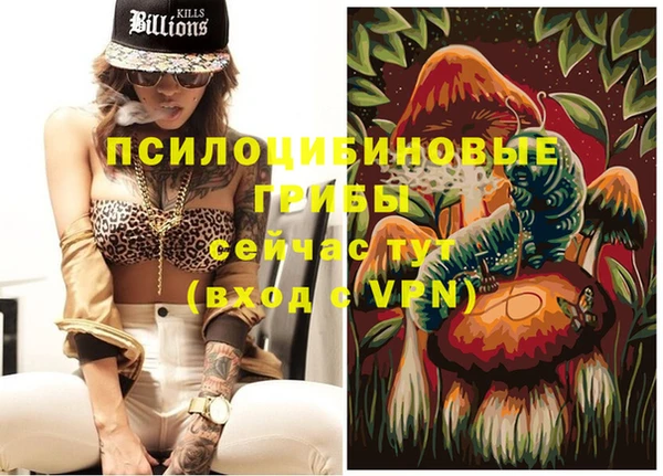 а пвп мука Кодинск